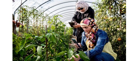 World Food Forum 2026: FAO Director-General opens 5th Science and Innovation Forum