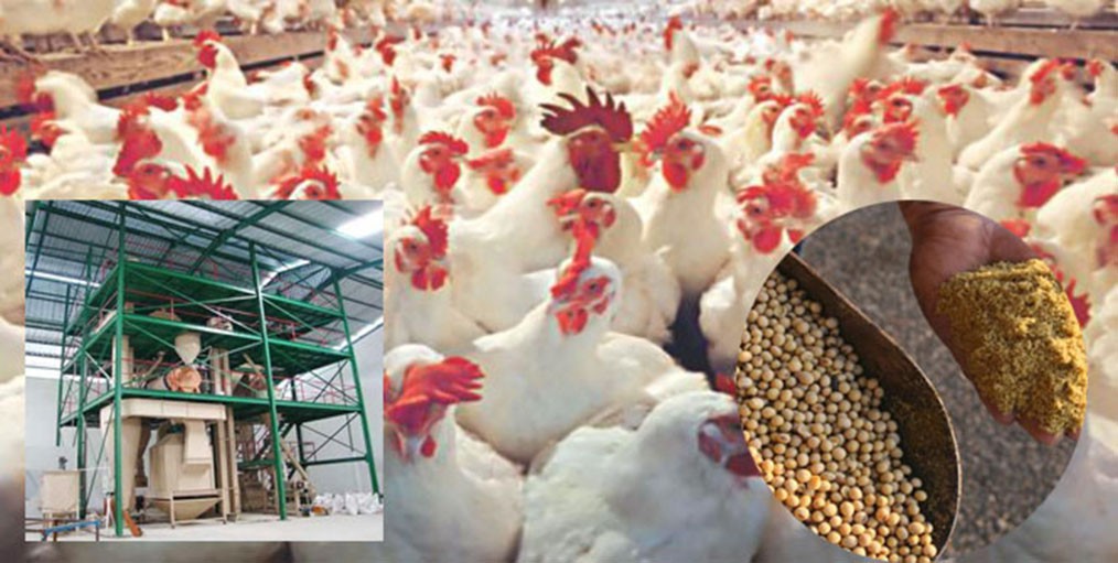 Bangladesh Poultry industry: Past & Present
