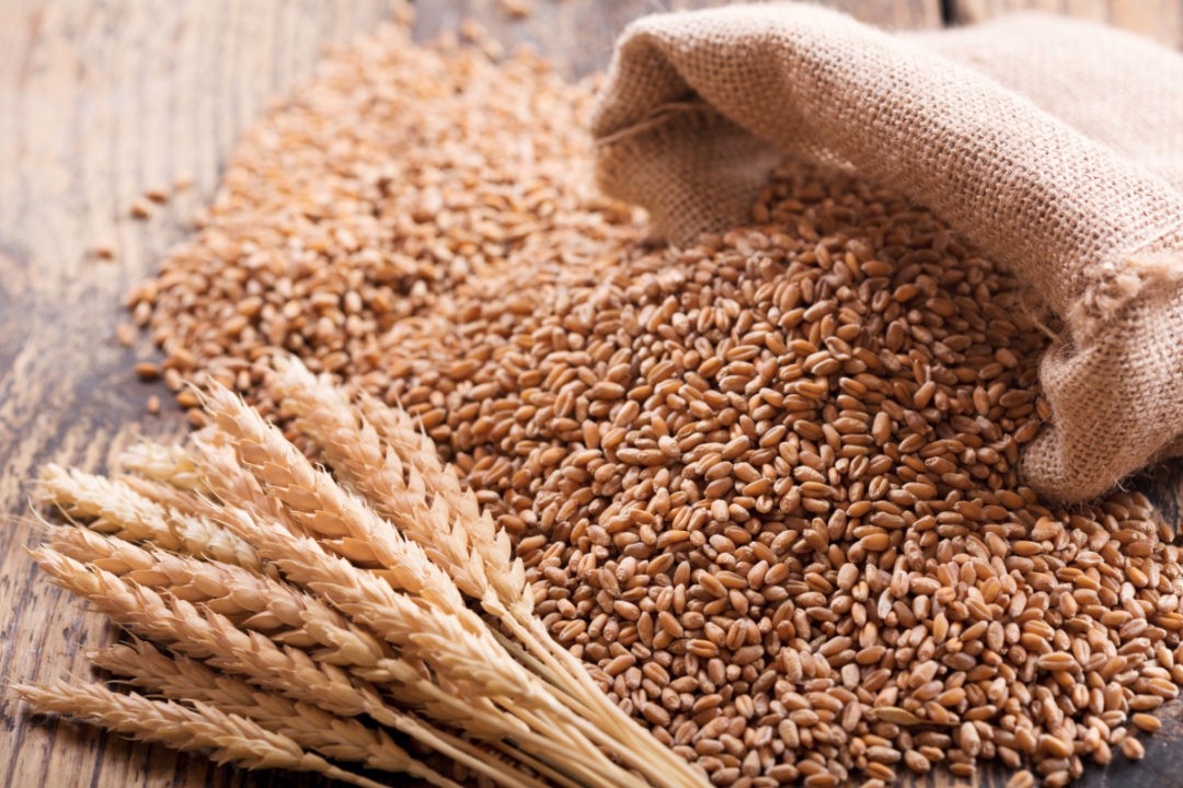 Pakistan will import another 4 million metric tonnes of wheat this year