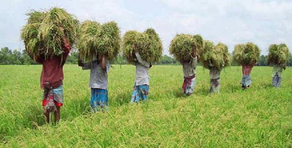 When farmers are the real hero of Bangladesh