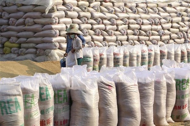 Vietnam plans to stockpile rice to help farmers affected by severe Coronavirus