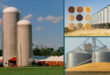 About Silos & Grain Handling System: How Do Grain Silos Work?