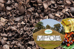 Malaysian Palm Oil Board invents technology to treat palm oil mill effluent