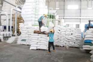 Although overall agricultural shipments increased, rice exports declined by 14 percent
