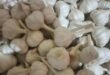 Despite the losses, farmers are interested in garlic cultivation