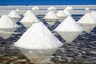 Two and a half lakh tons of salt is stored but still imported