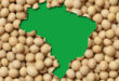 Brazil set a record for soybean exports in 2021