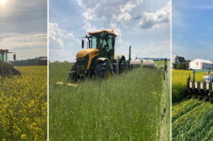 Off-season ‘cover’ crops are expanding because U.S. farmers see a low-carbon future